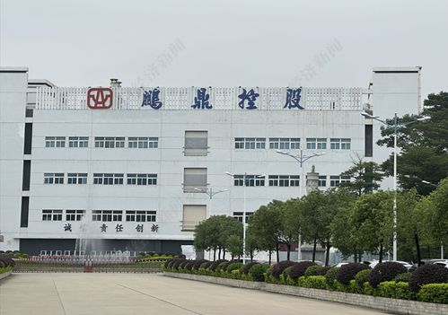 直擊股東大會(huì)丨鵬鼎控股董事長(zhǎng)沈慶芳 單一大客戶(hù)占比超50%是結(jié)果 核心是滿(mǎn)足客戶(hù)需求并持續(xù)拓展